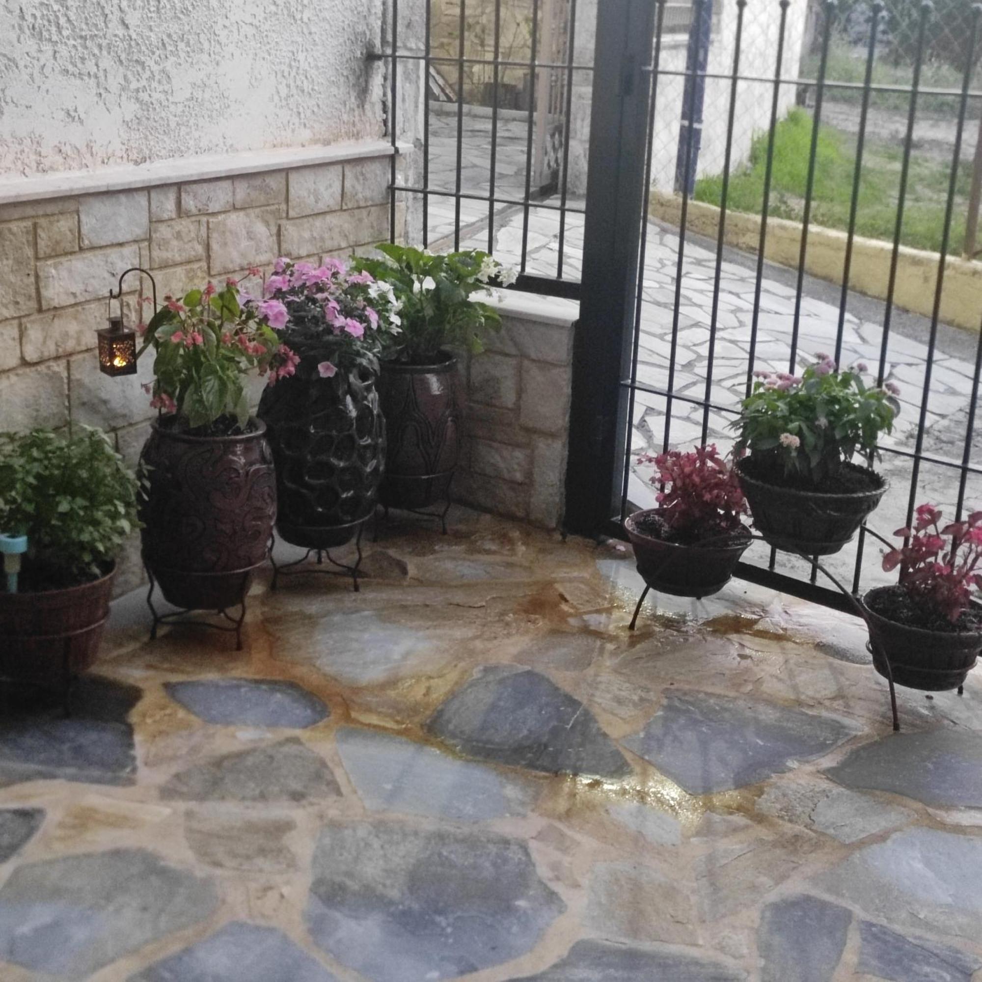 Eleni-Areti Apartment Pefkochori Exterior photo